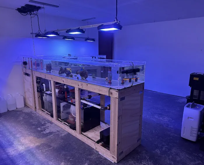 Tidalwave Aquatics Picture 7
