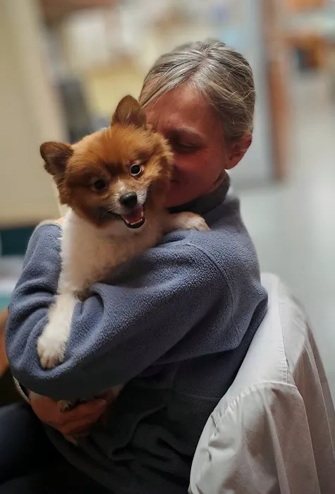 Boston Veterinary Specialists Picture 5