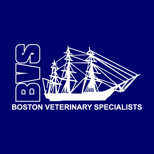 Boston Veterinary Specialists Picture 6