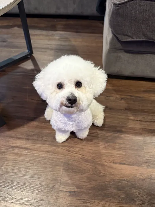 Woof Gang Bakery & Grooming Lakewood Ranch Picture 5