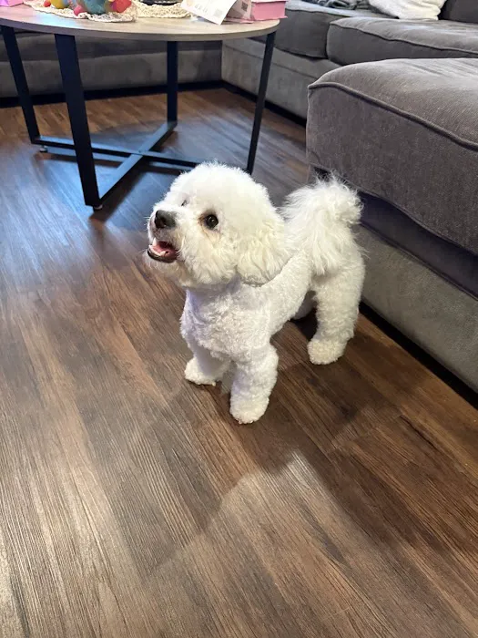 Woof Gang Bakery & Grooming Lakewood Ranch Picture 9