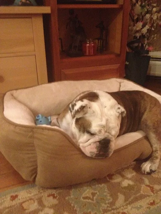 Wolf Morton Picture 2