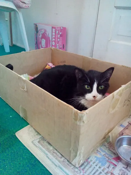 Wolf Morton Picture 1