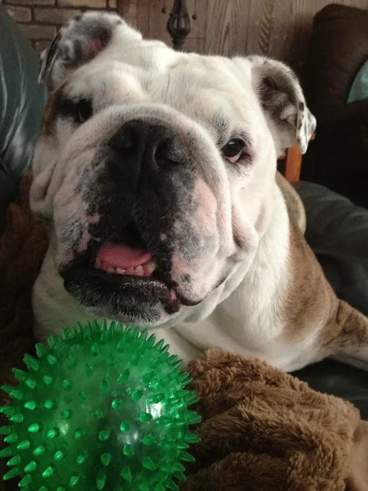 Wolf Morton Picture 3