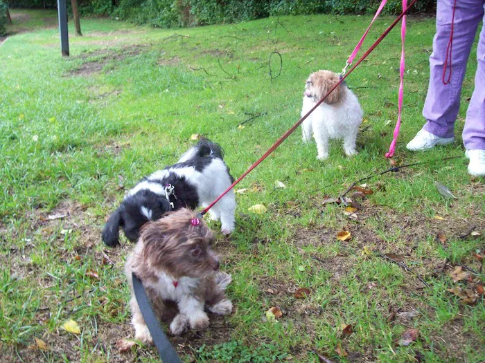 Wolf Morton Picture 4