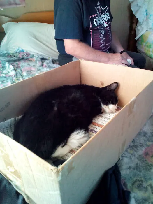 Wolf Morton Picture 6