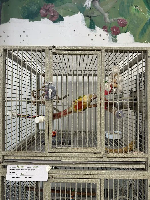 Exotic Pet Center Picture 2