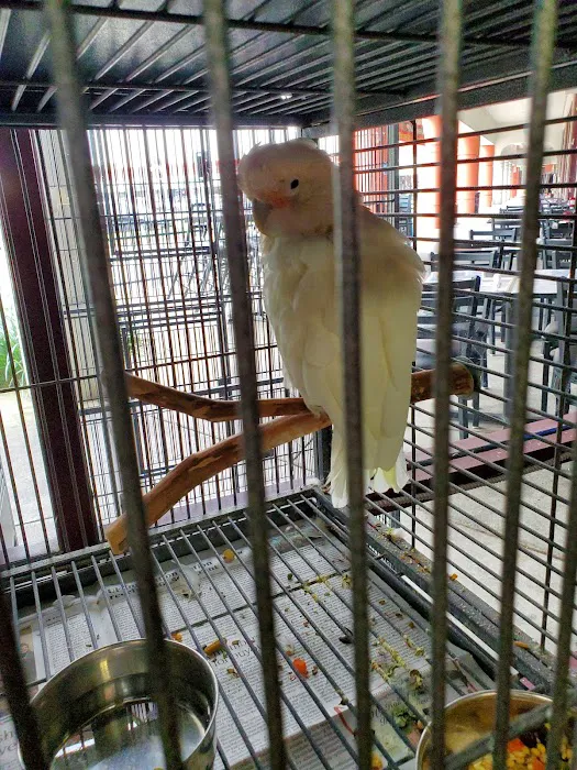 Exotic Pet Center Picture 6