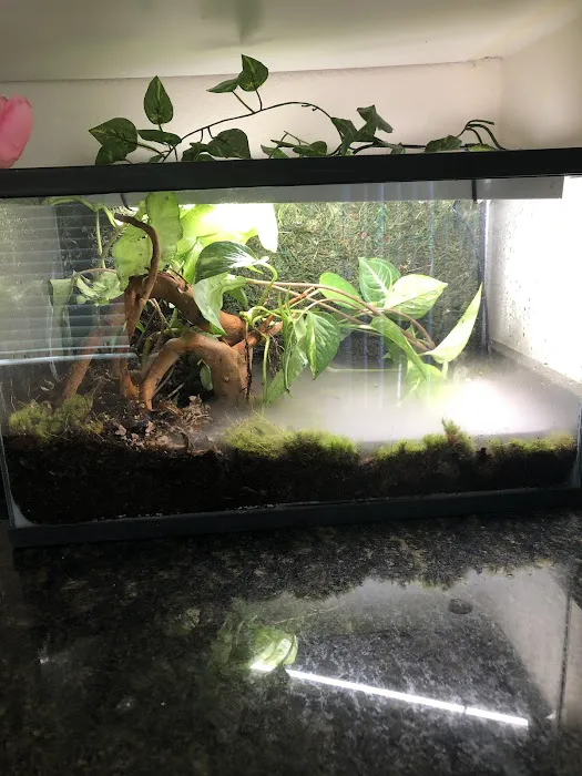 Exotic Pet Center Picture 4