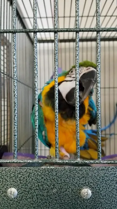 Exotic Pet Center Picture 9