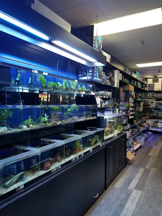 Exotic Pet Center Picture 10