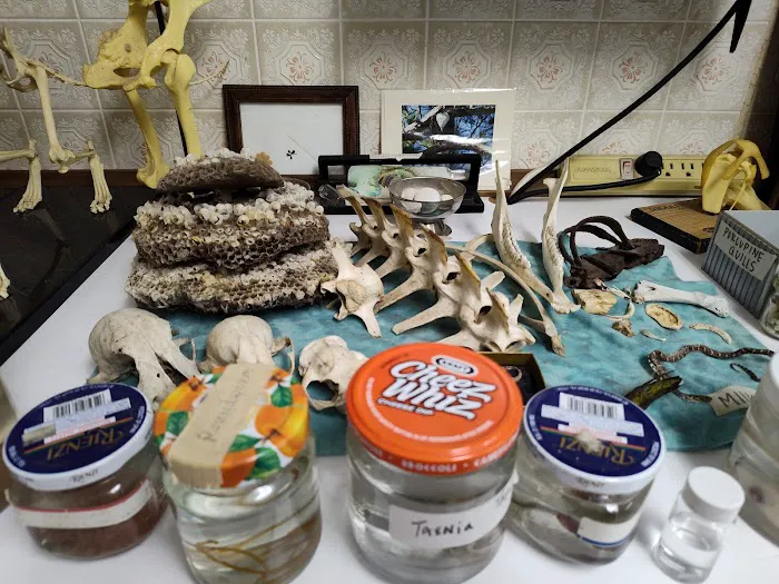 Mc Neill Veterinary Clinic Picture 1