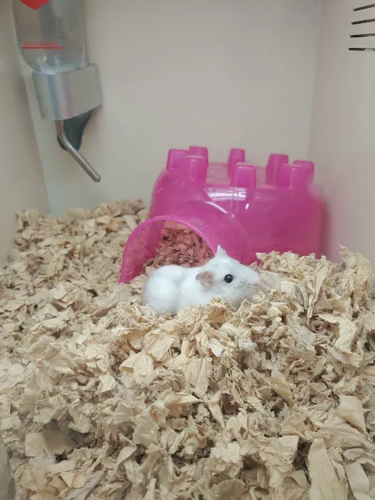 Pet Supplies Plus - Sarasota East Picture 3