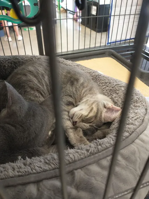 Pet Supplies Plus - Sarasota East Picture 4