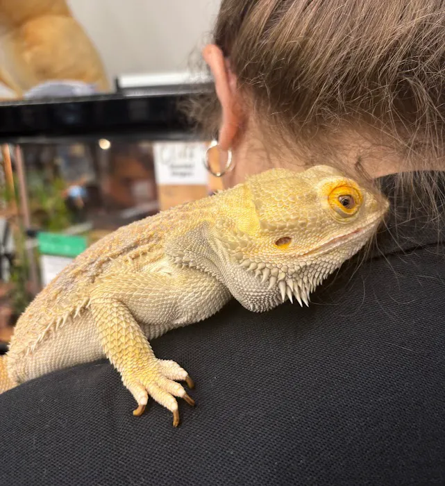 Pet Supplies Plus - Sarasota East Picture 8