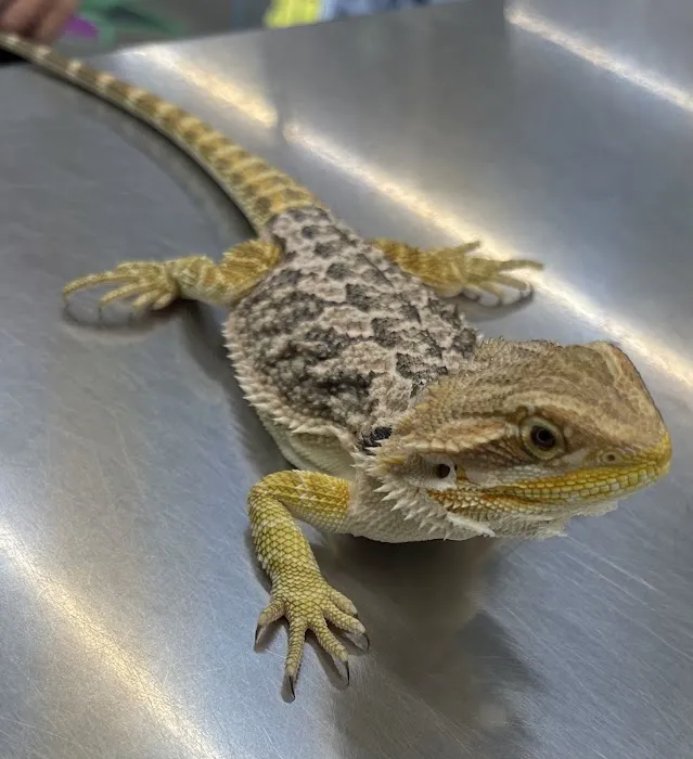 Pet Supplies Plus - Sarasota East Picture 6