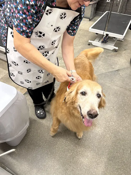 Pet Supplies Plus - Sarasota East Picture 7