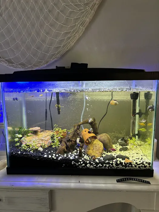 Pet Supplies Plus - Sarasota East Picture 9