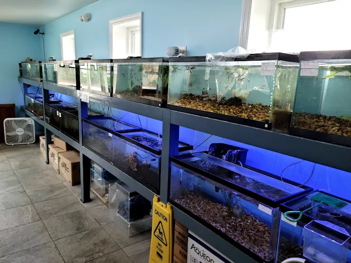 WET PETS SRQ Picture 1