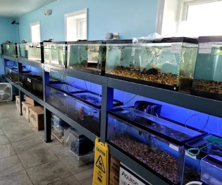 WET PETS SRQ