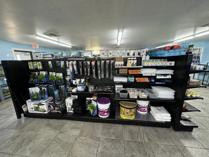 WET PETS SRQ Picture 5