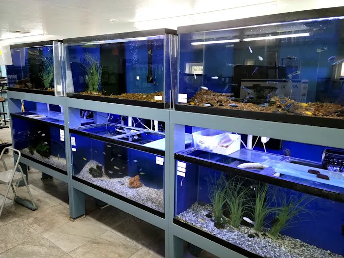 WET PETS SRQ Picture 10