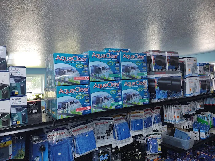 WET PETS SRQ Picture 8