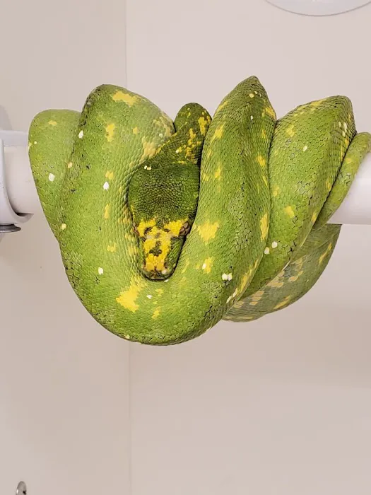 Cold Blooded Sensations Picture 3