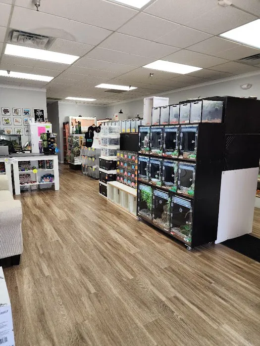 Cold Blooded Sensations Picture 2