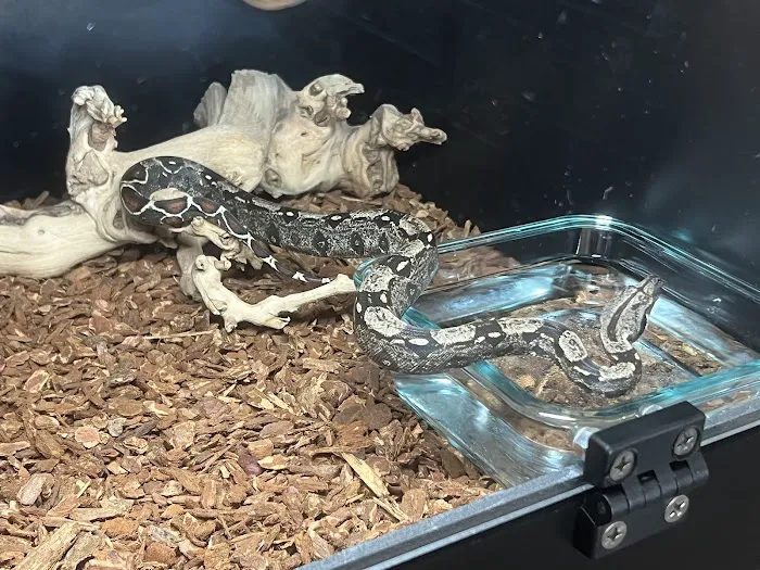 Cold Blooded Sensations Picture 4