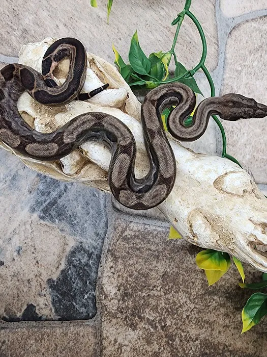 Cold Blooded Sensations Picture 5