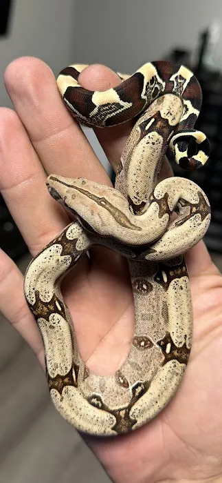 Cold Blooded Sensations Picture 7