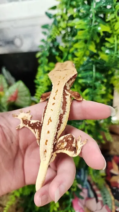 Cold Blooded Sensations Picture 8