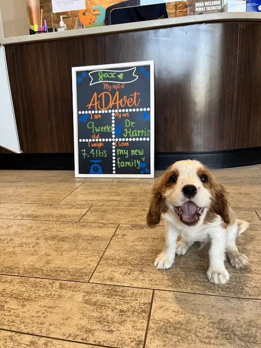 ADAvet Veterinary Clinic Picture 5