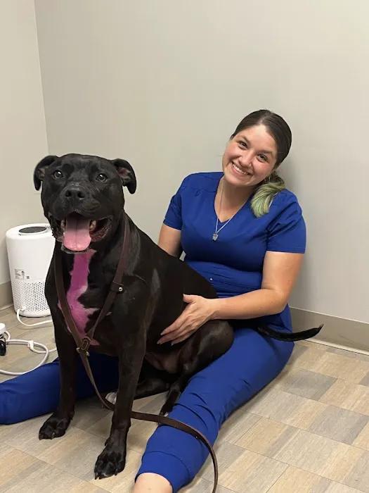 ADAvet Veterinary Clinic Picture 4