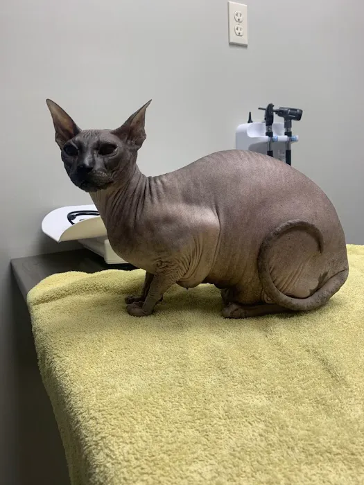 ADAvet Veterinary Clinic Picture 9