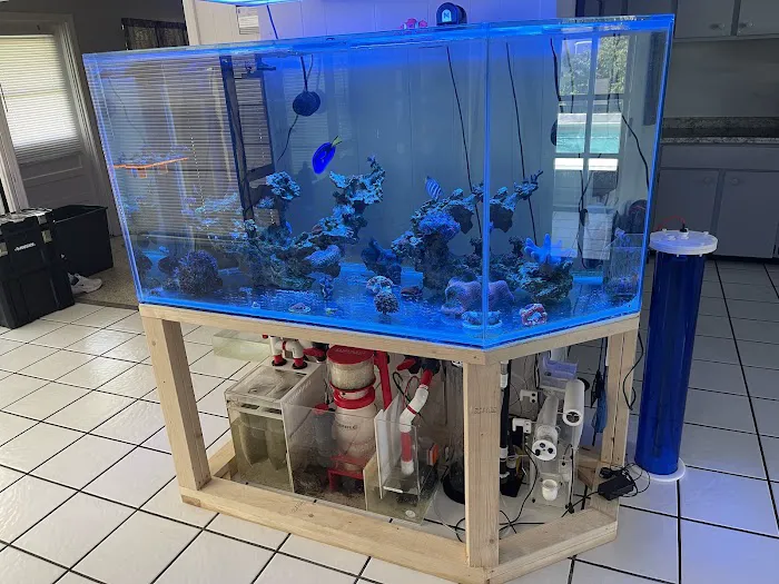 Wicked Sticks Aquarium Service and Maintenance Picture 1