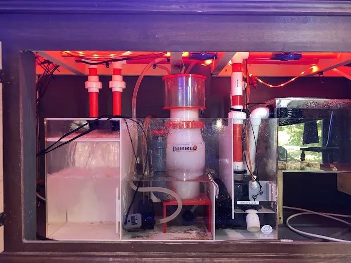 Wicked Sticks Aquarium Service and Maintenance Picture 3