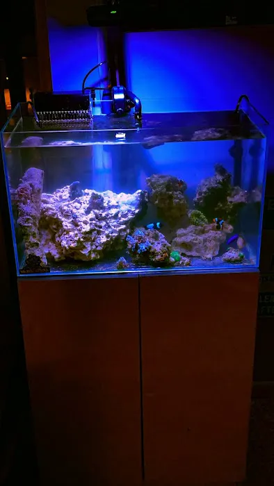 Wicked Sticks Aquarium Service and Maintenance Picture 7
