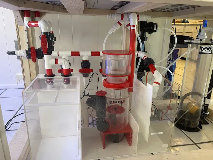 Wicked Sticks Aquarium Service and Maintenance Picture 8