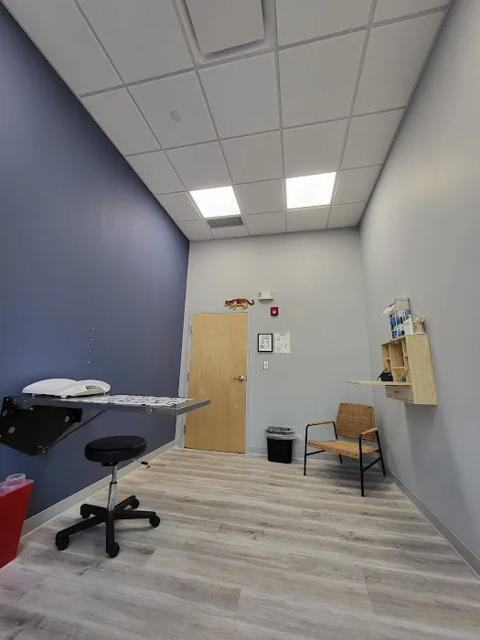 Maynard Veterinary Care Picture 1