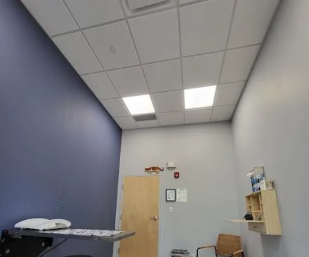 Maynard Veterinary Care