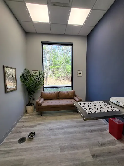 Maynard Veterinary Care Picture 2