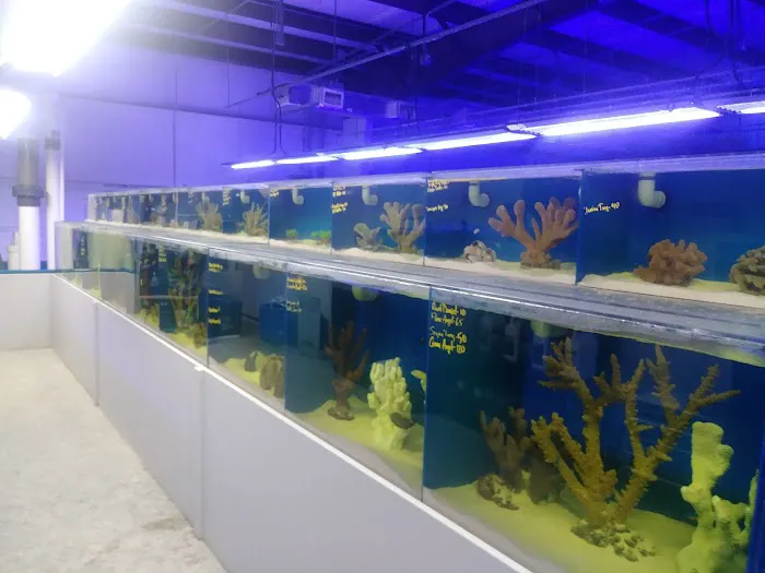 The Coral Corral Picture 1