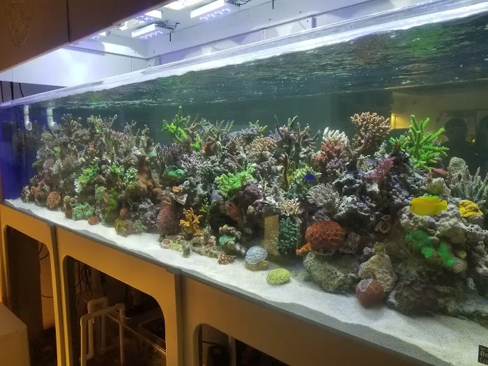 The Coral Corral Picture 4