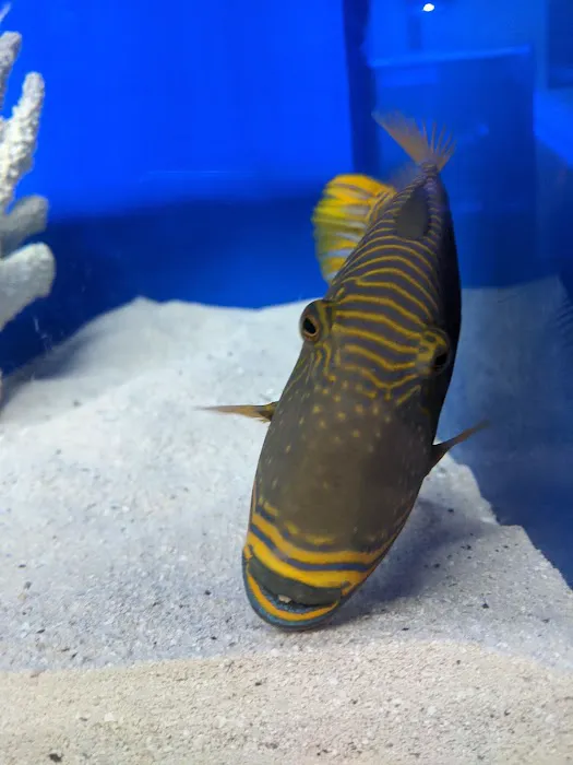 The Coral Corral Picture 8