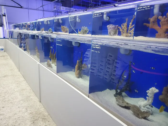 The Coral Corral Picture 7