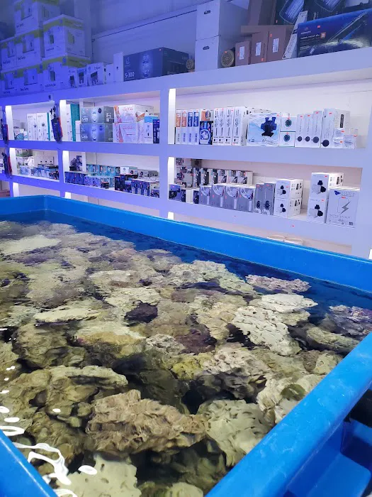 The Coral Corral Picture 6