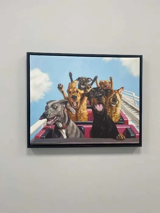 PawsitiveCare INC Picture 7