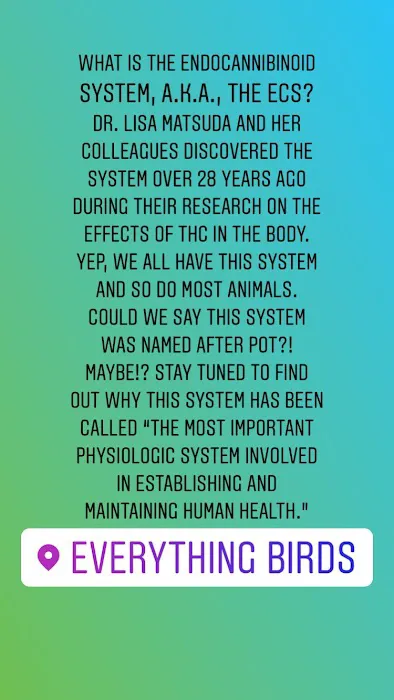 Natural Origins Picture 4